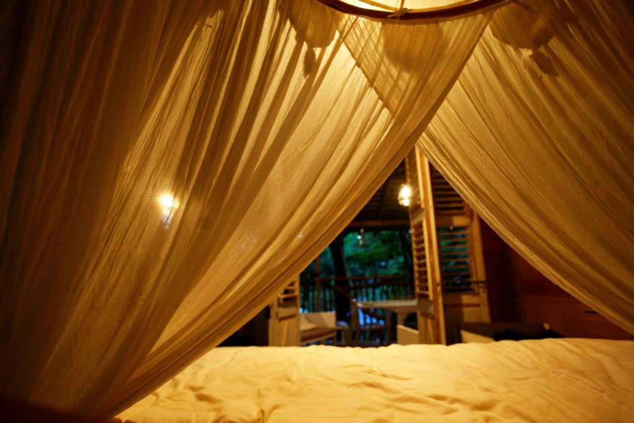 Les Bananes Vertes Ecolodges photo 4