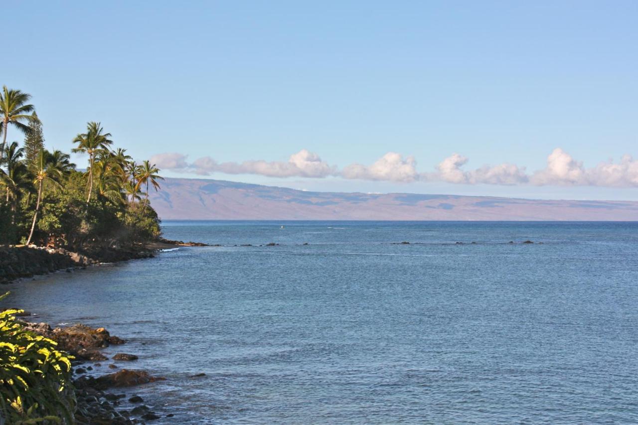 Maui Beach House B & B photo 2