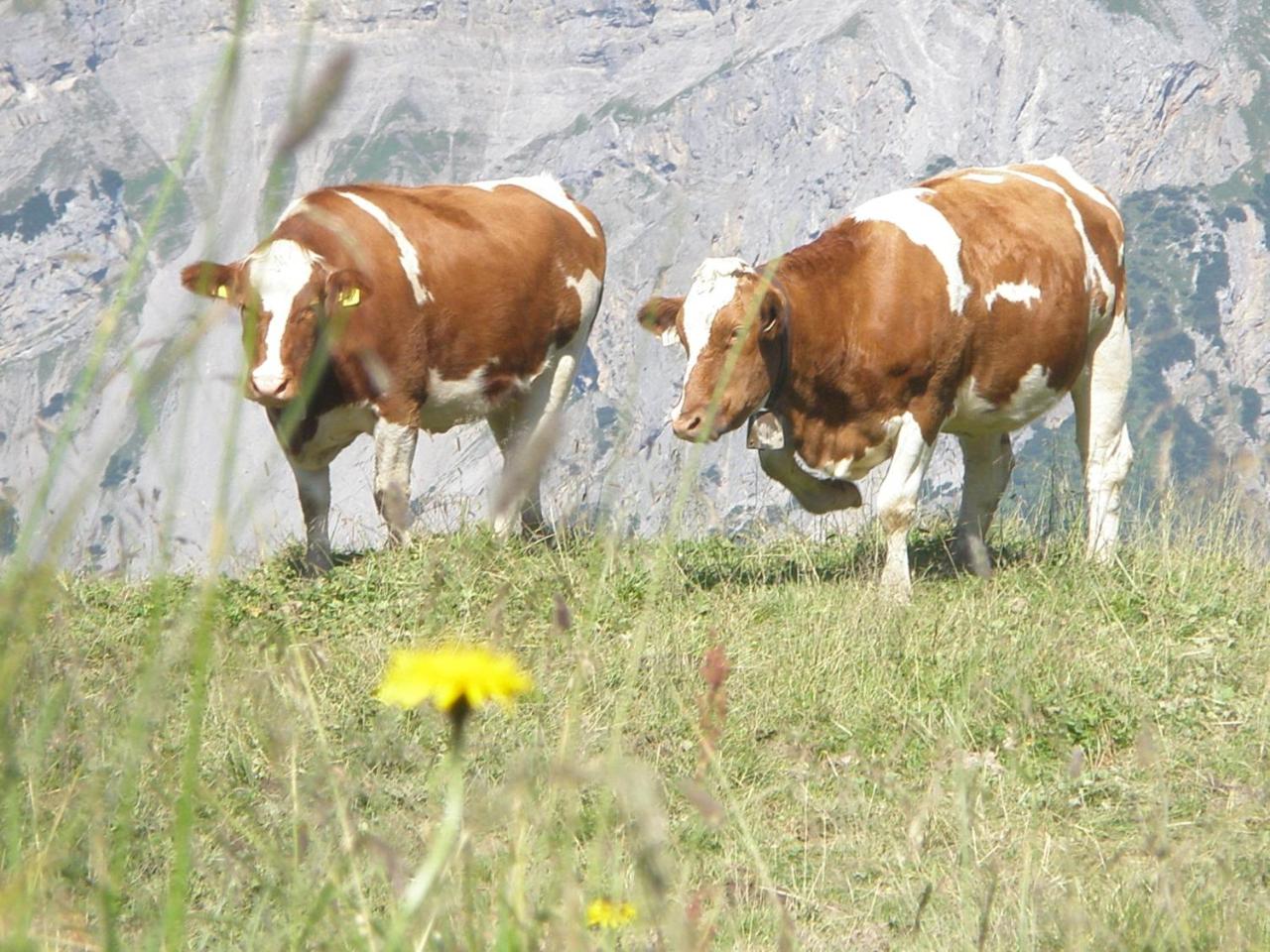 Hotel Gasthof Jäger Zillertal photo 4