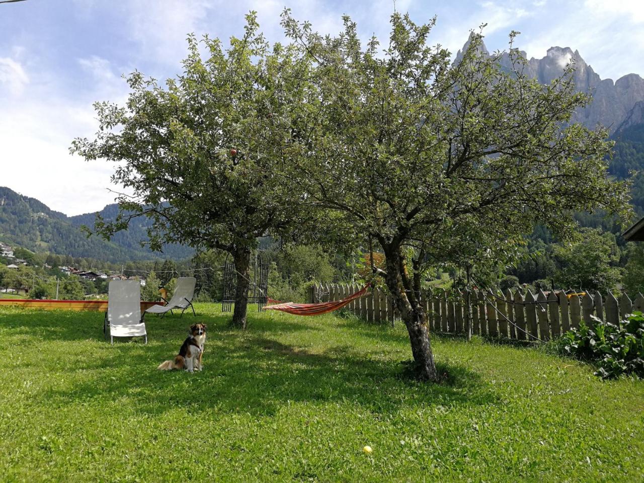 Feldererhof photo 2