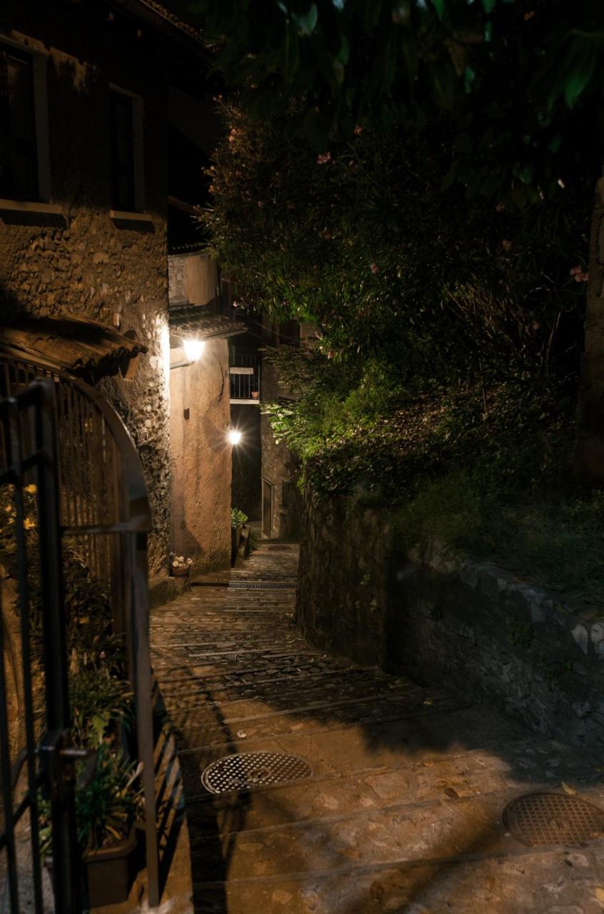 Le bucce di Gandria photo 4