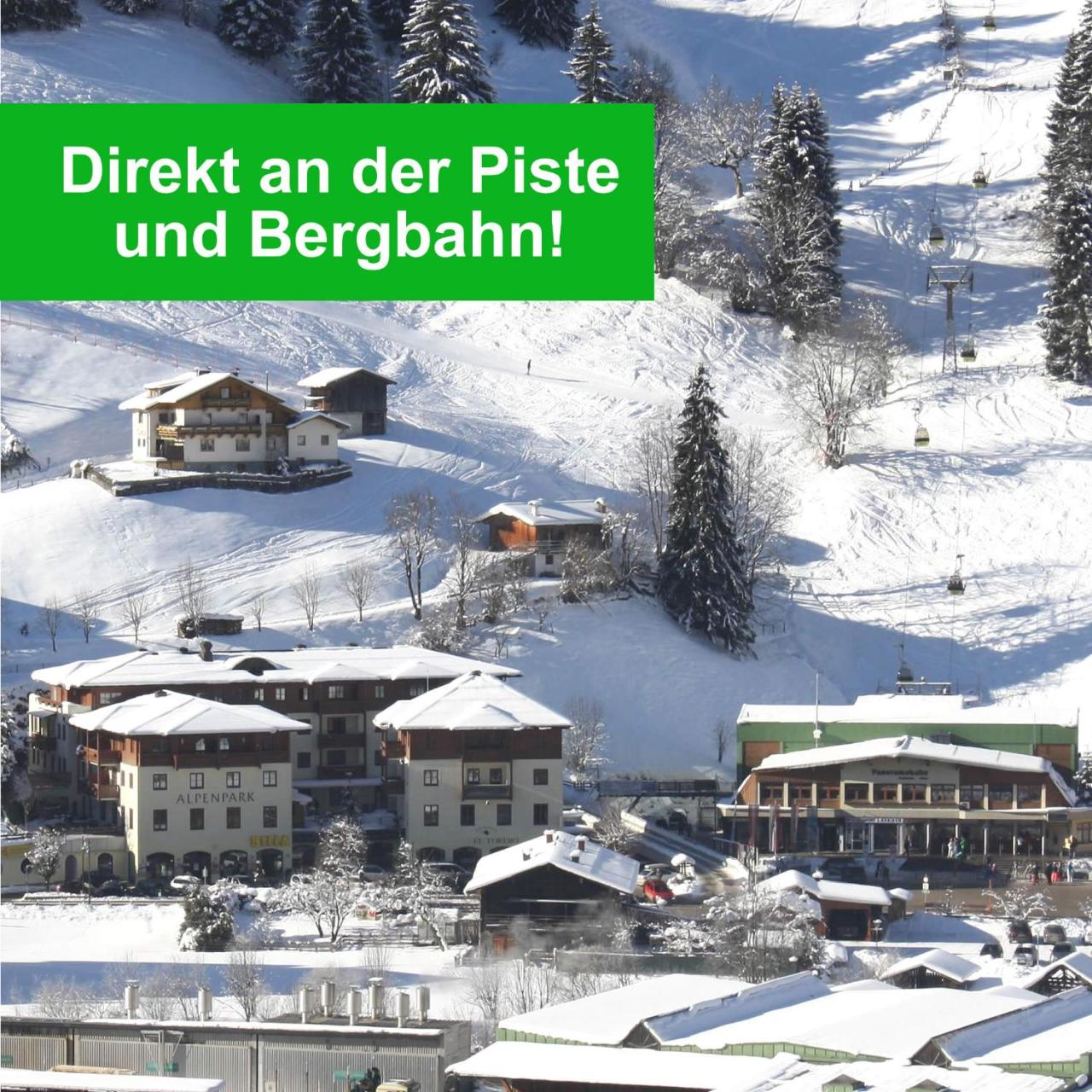 Appartementhaus Alpenpark - 2