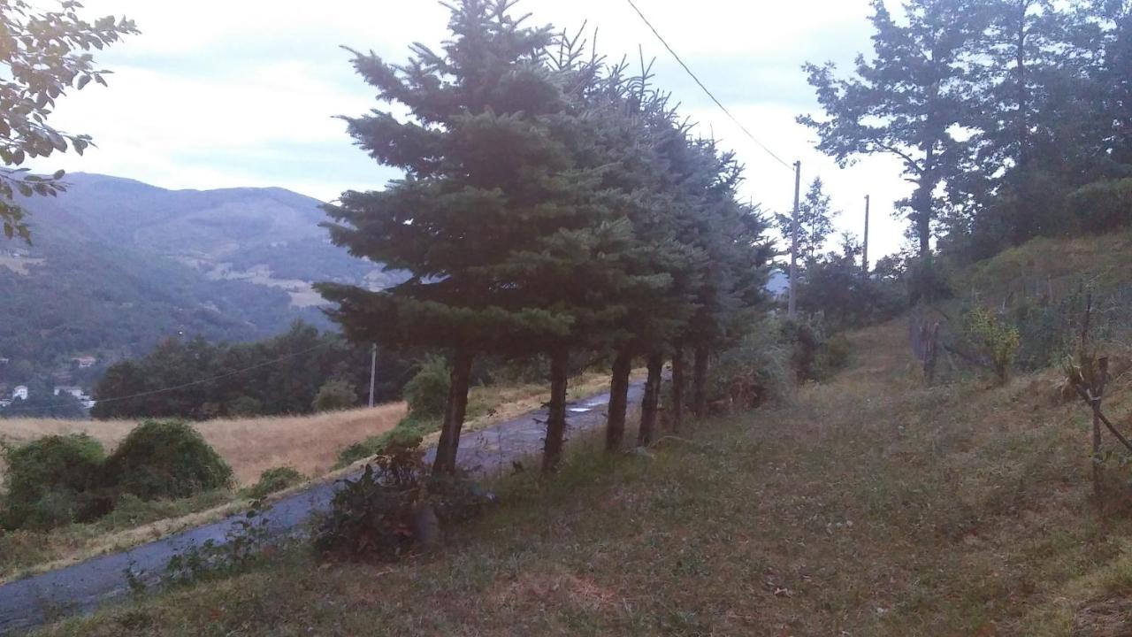 Agriturismo dal Poeta photo 4