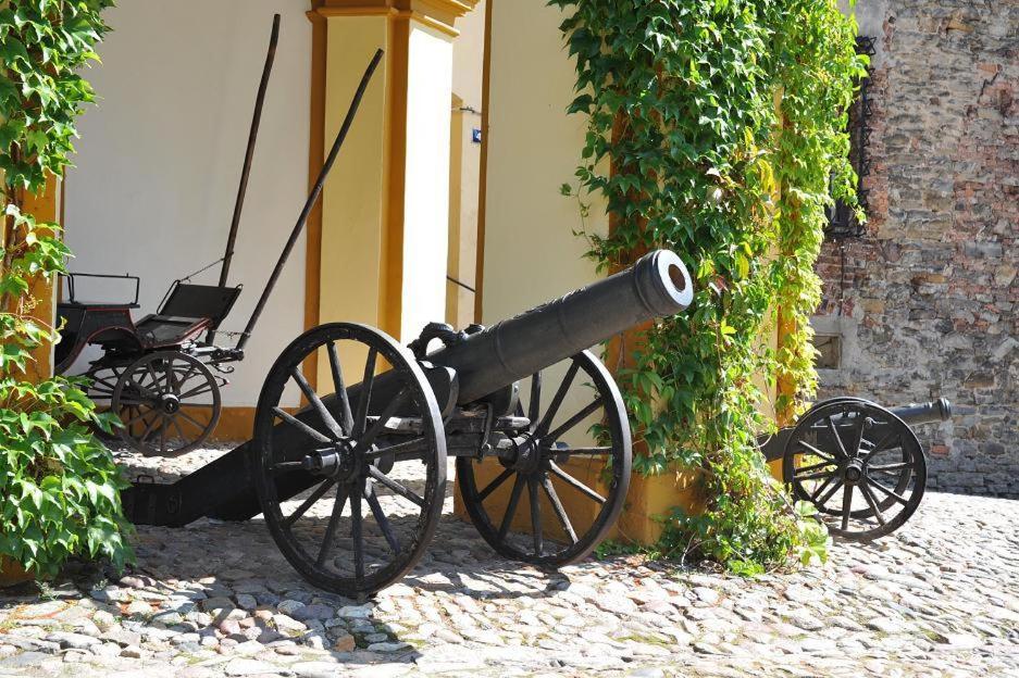 Zamek Otmuchów photo 3