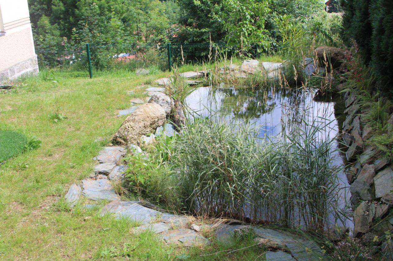 Ašika photo 4