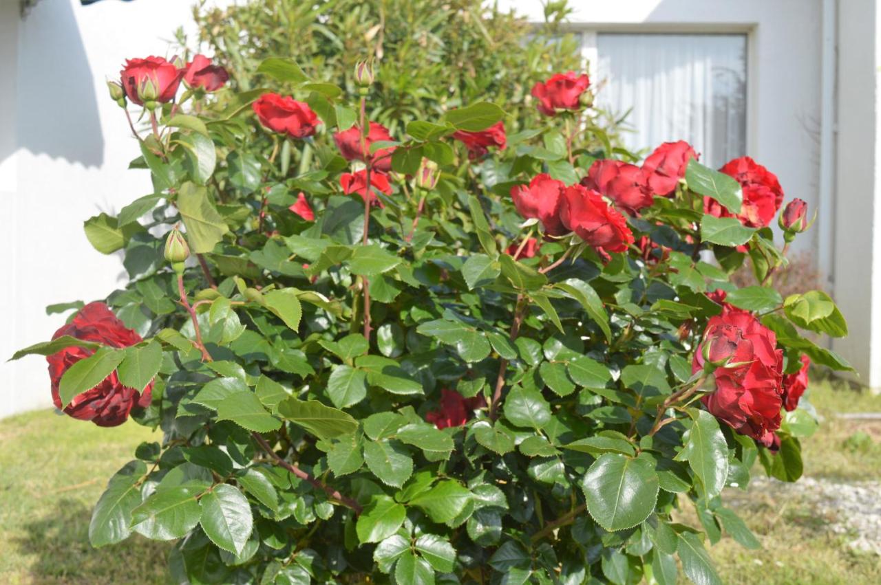 Les Jardins d'Oléron photo 3
