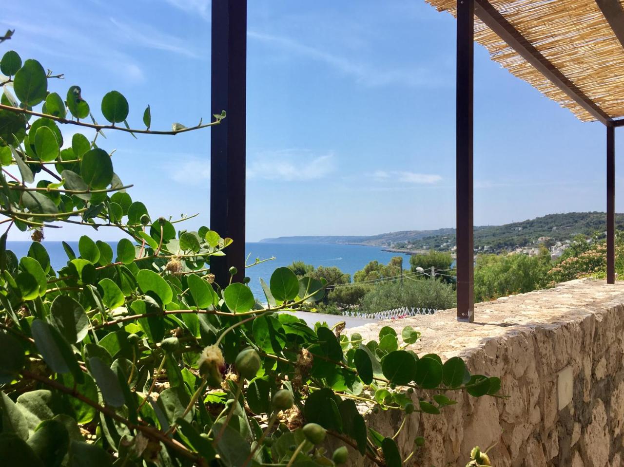 Residenza La Cicala - 3