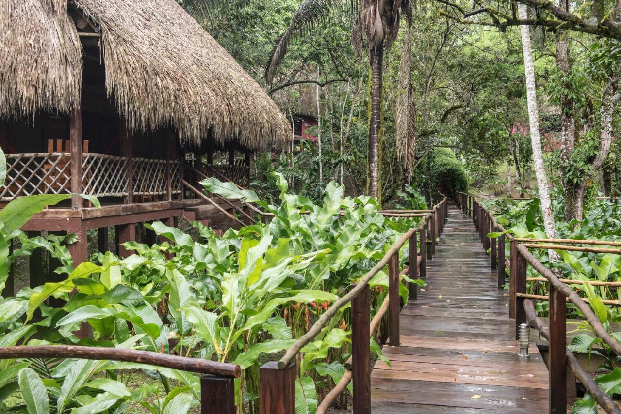 Las Guacamayas Lodge, Selva Lacandona, Chiapas México