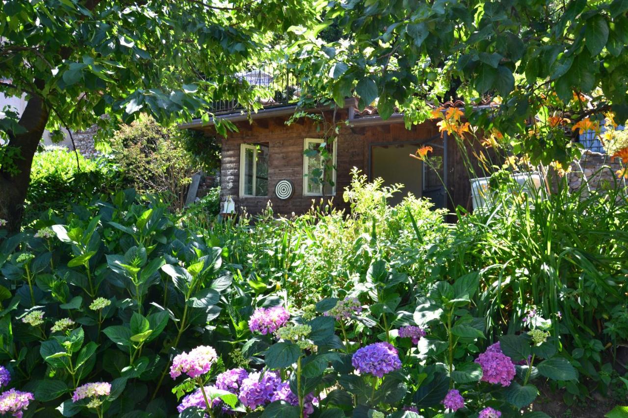 B&B Il Torchio photo 2