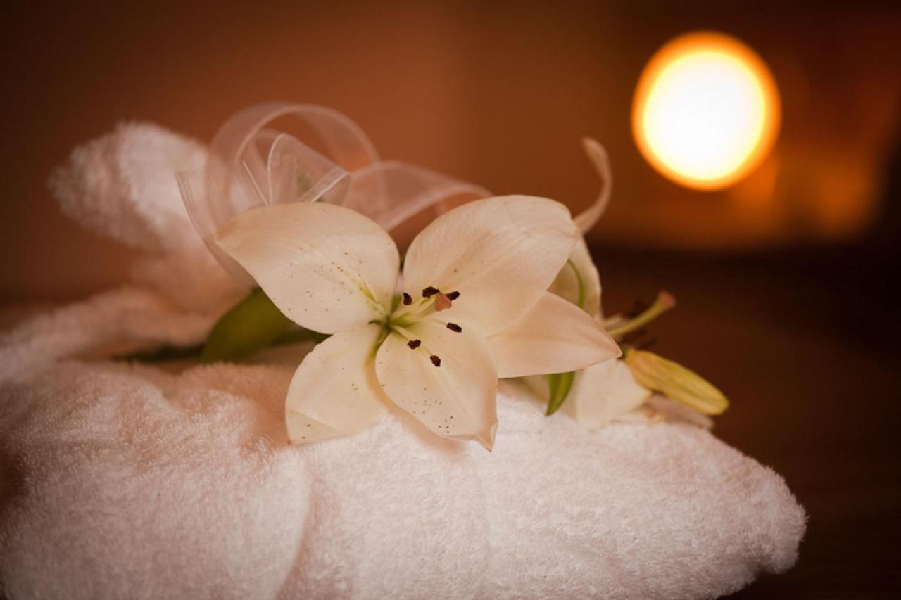 Foto - Wellness Hotel Zlatá Lípa