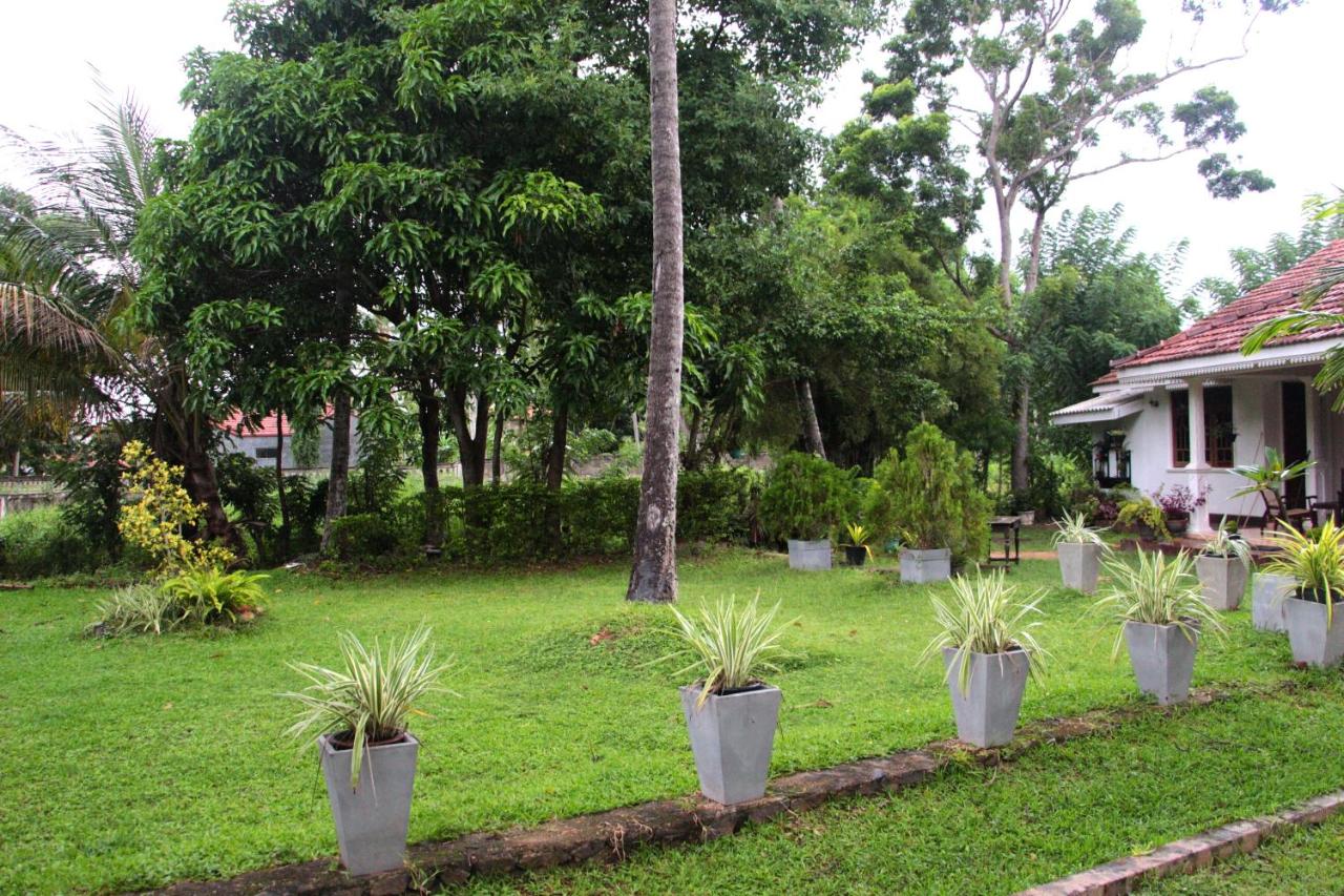 Jegers Villa photo 4