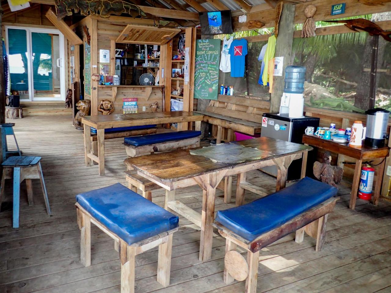 Blue Island Divers Casa Descanso photo 3
