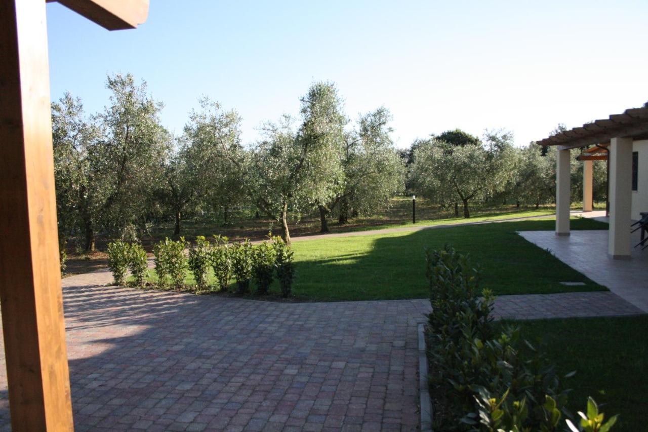 Agriturismo Dallolivo photo 4
