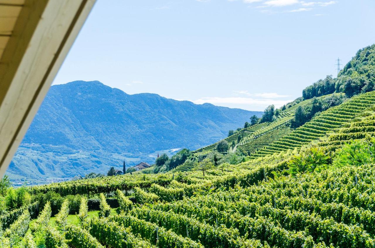 Vineus Tramin photo 2