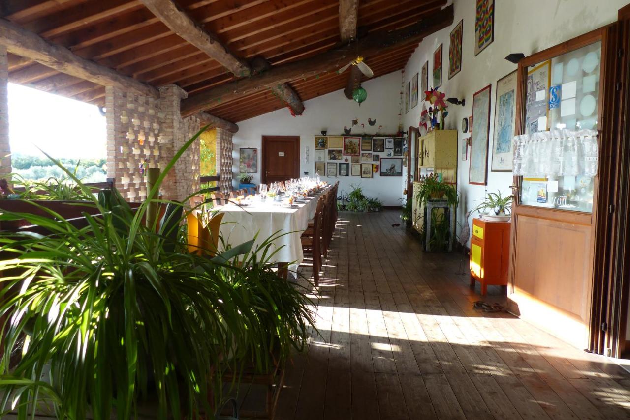 Arriga Alta photo 3