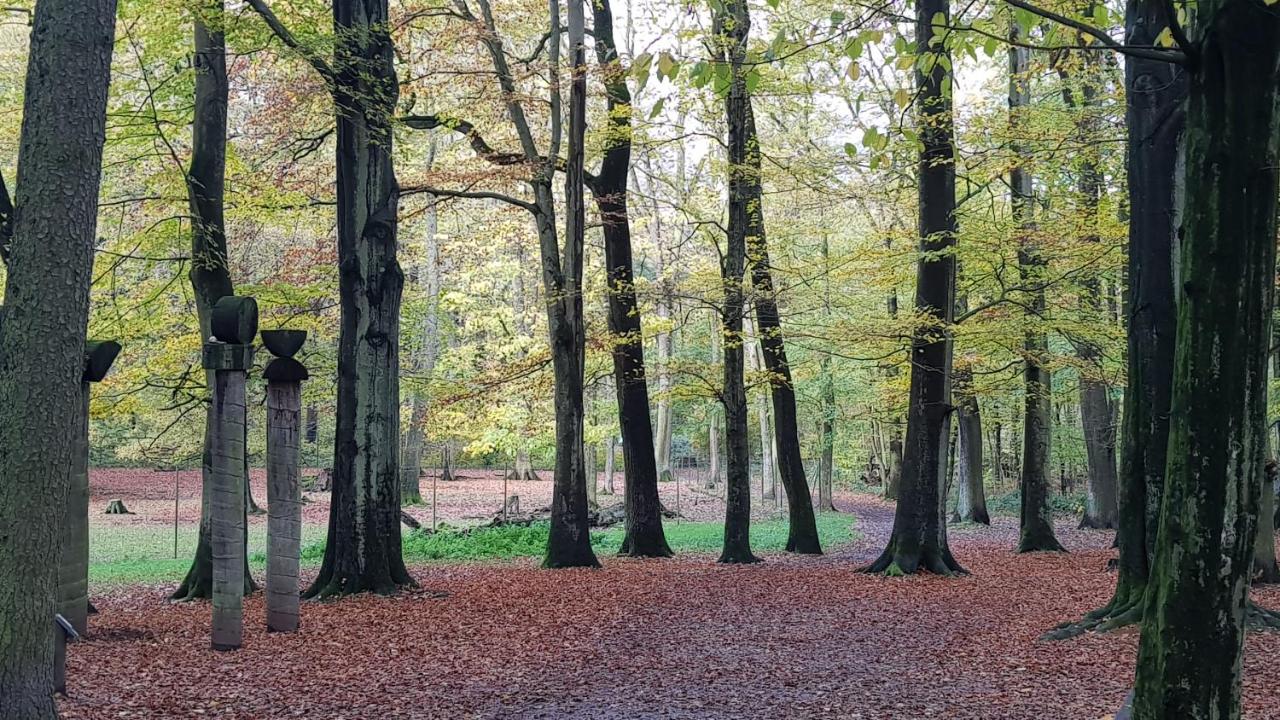 Wald-Hotel photo 4