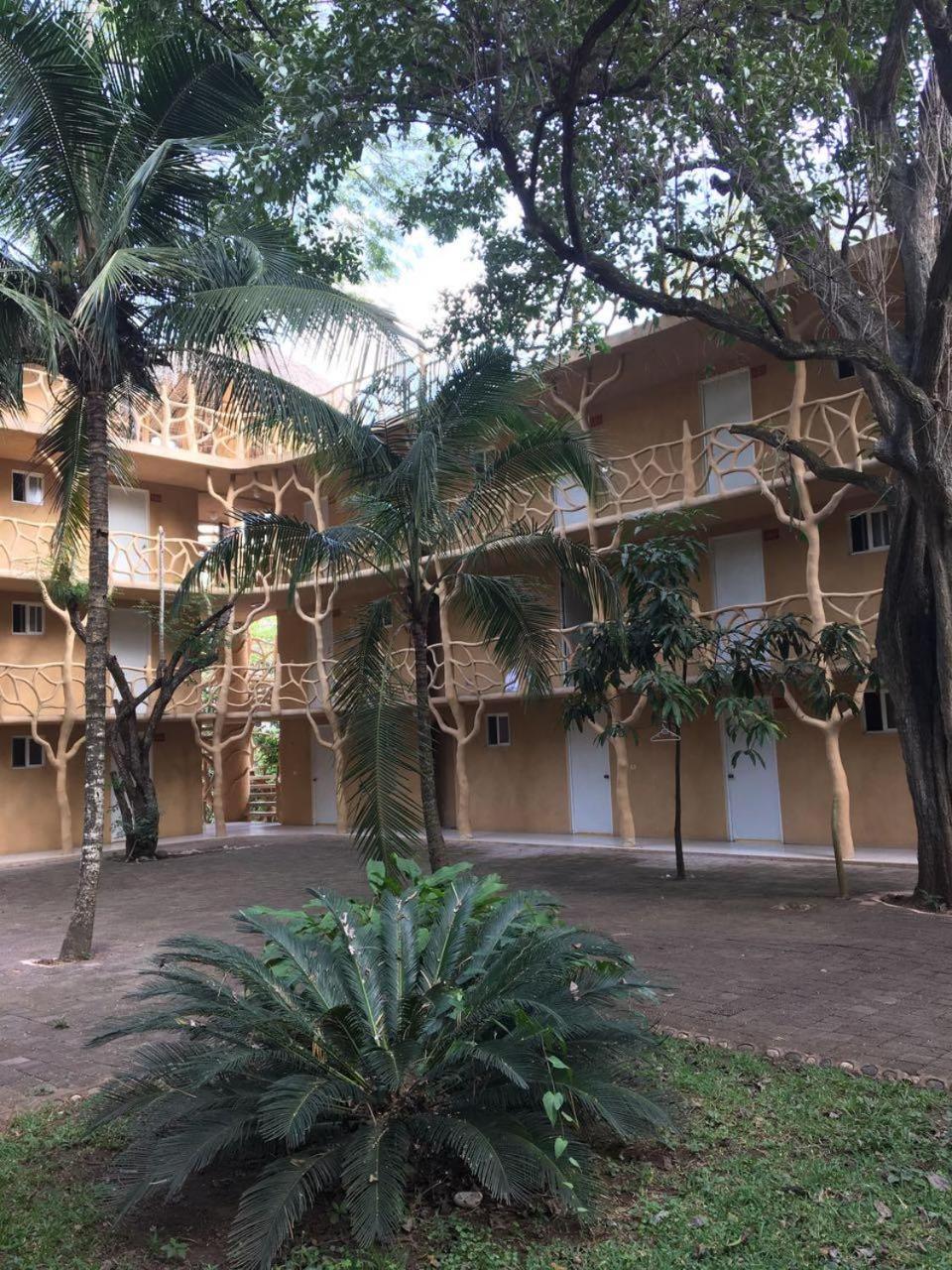 Hotel Carrizal Spa photo 3
