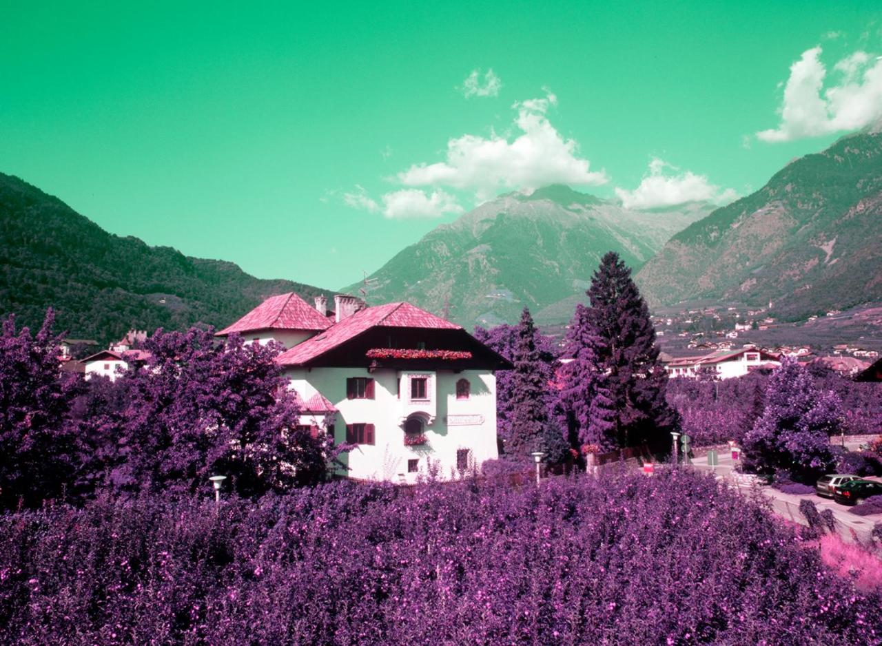 Plonerhof photo 4
