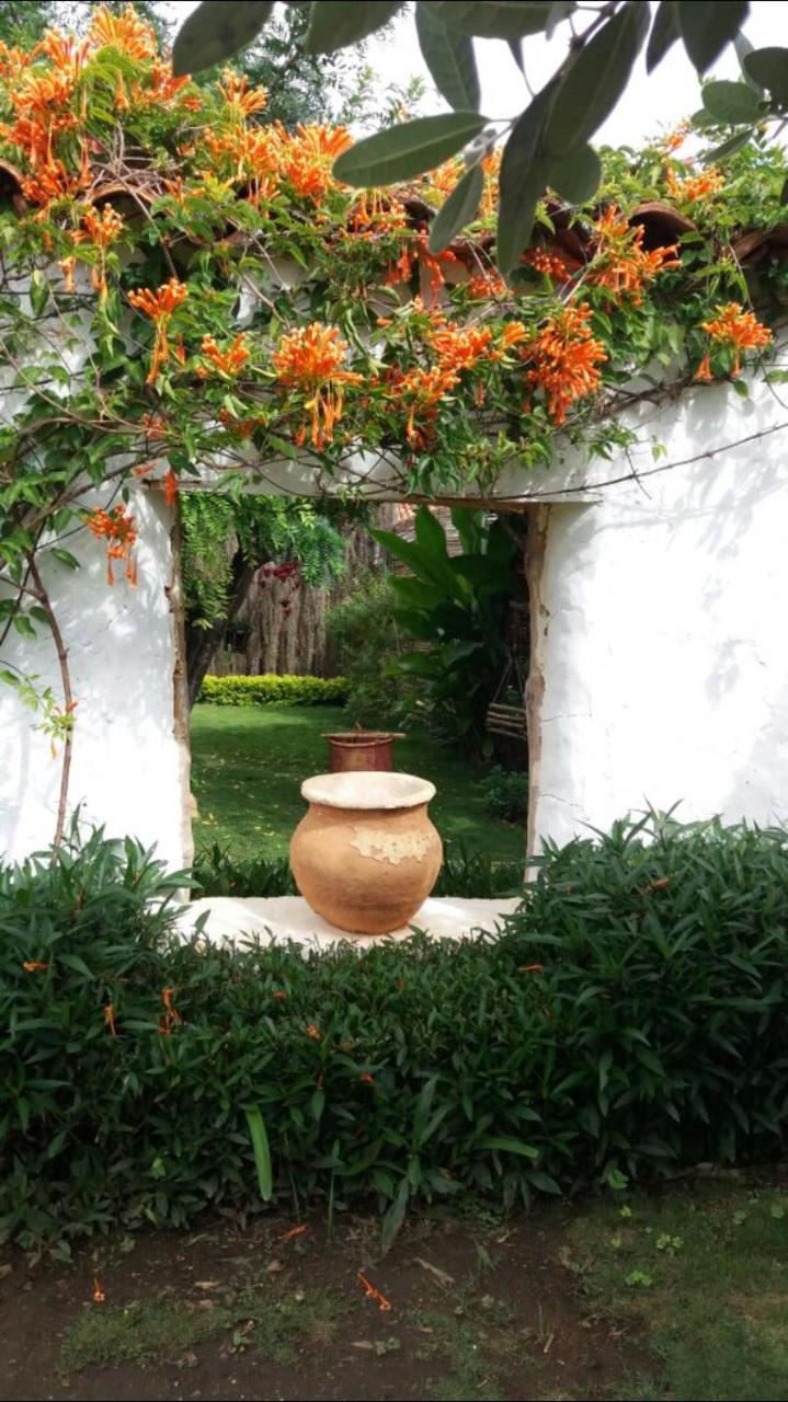 Hotel Casa Palosanto photo 4