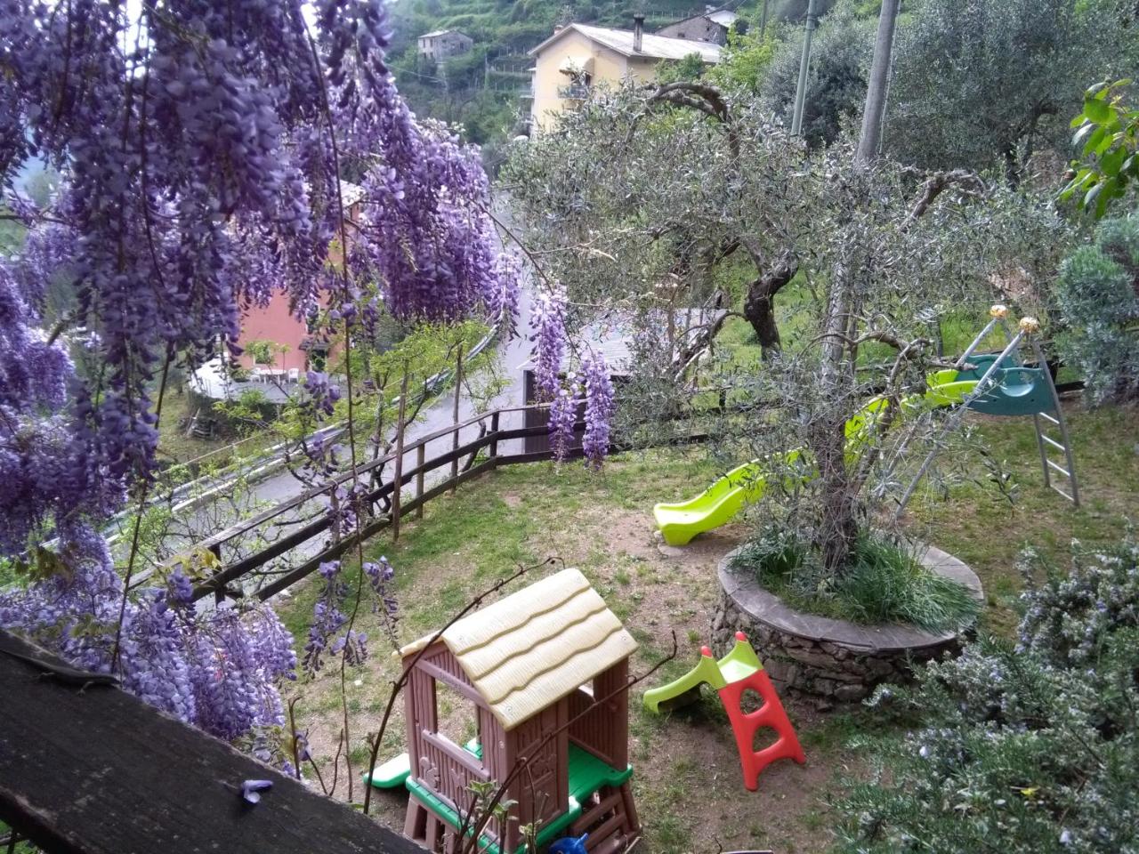 Agriturismo Il Sogno photo 3