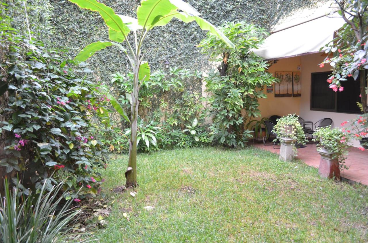 Hotel Don Nino photo 4