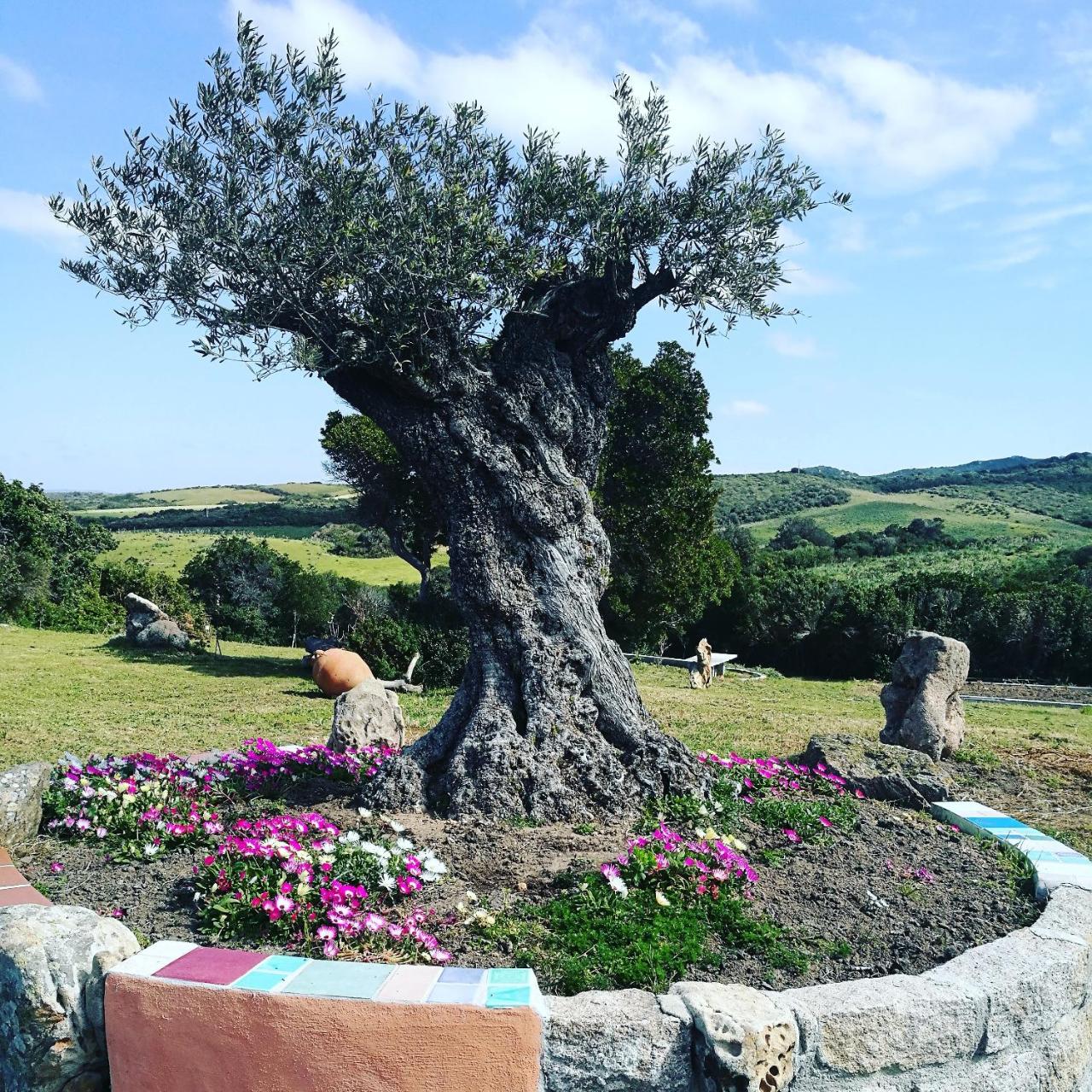 Country House Vignola Mare photo 4