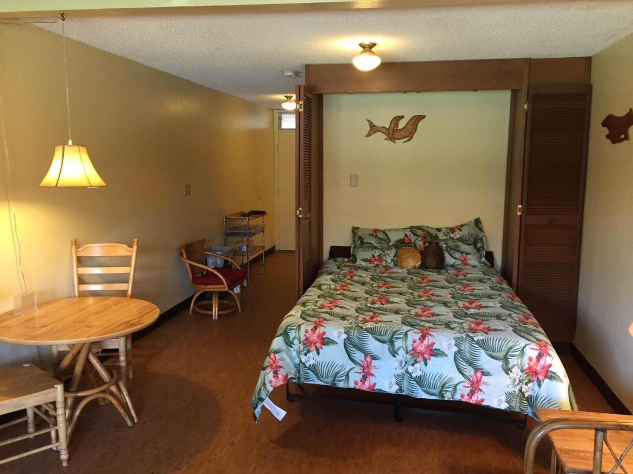 Cozy Ground Floor Studio Unit photo 4