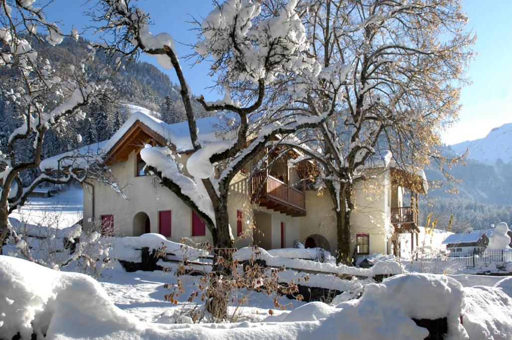 Villa Tilia - 2