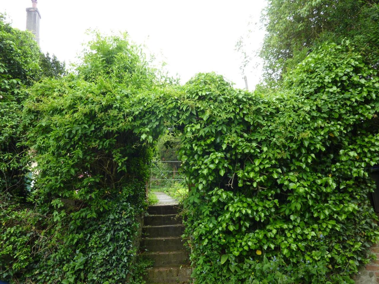 Chequers Hotel photo 4