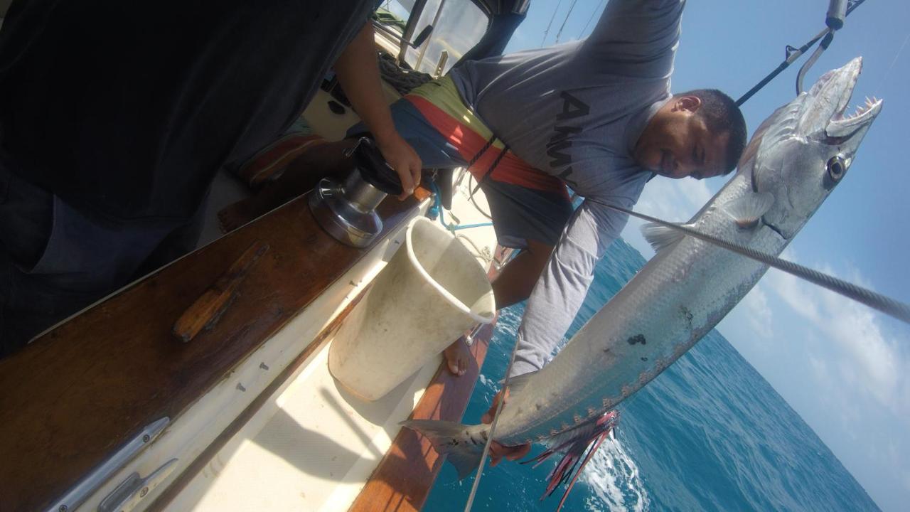 Play to Live San Blas photo 2