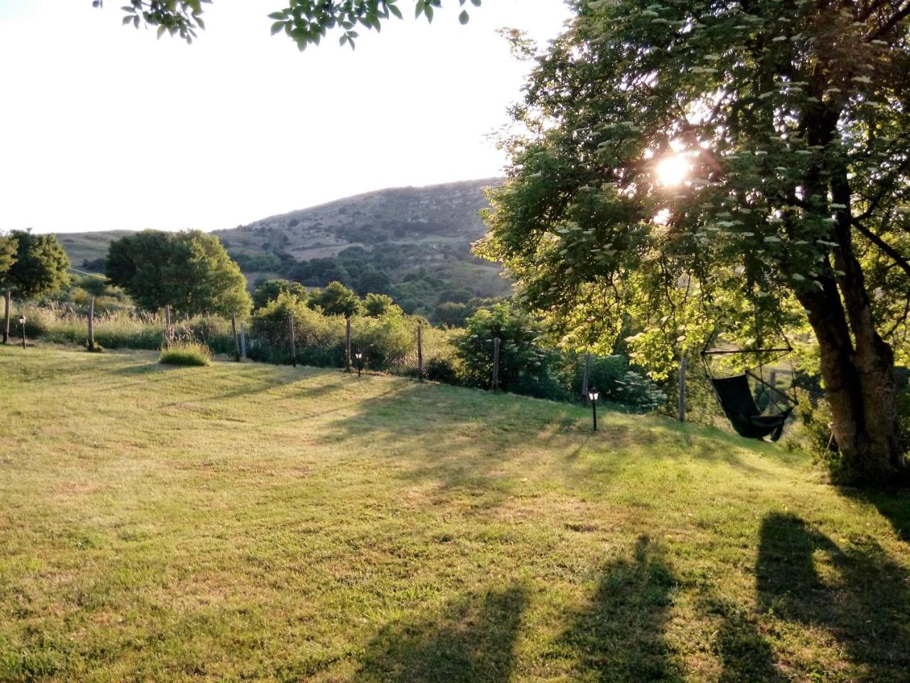Agriturismo La Guinza - Pool & Relax photo 2