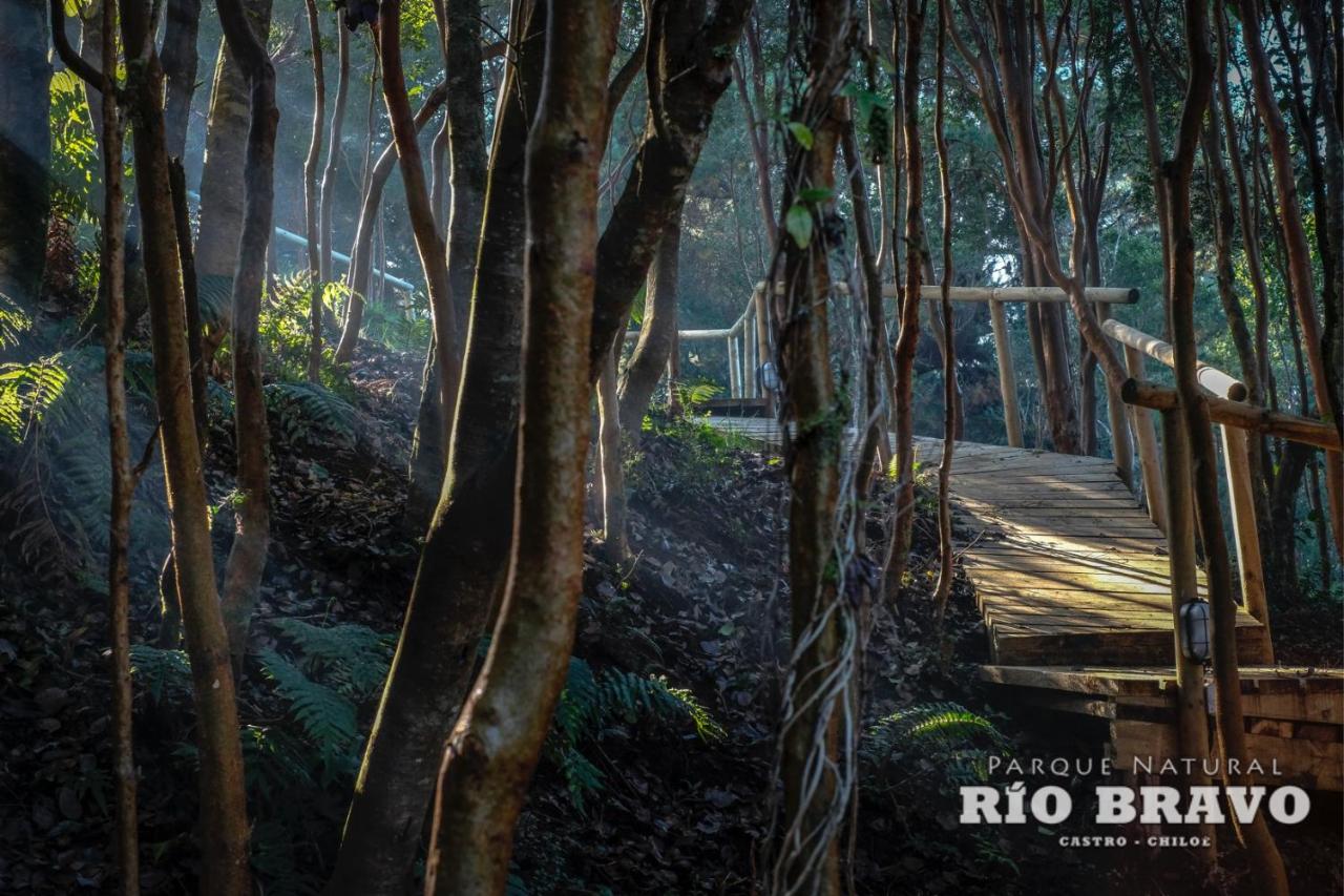 Parque Natural Rio Bravo Lodge photo 4
