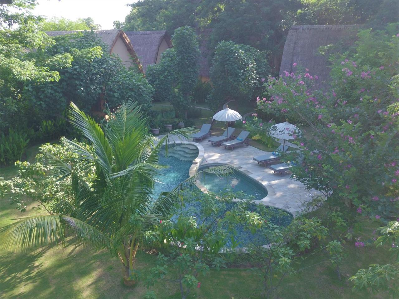 Kuda Laut Bungalows & Diving photo 3