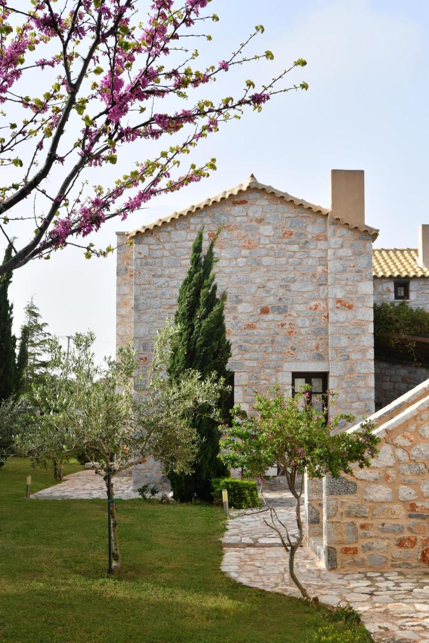 Achelatis Traditional Guest Houses