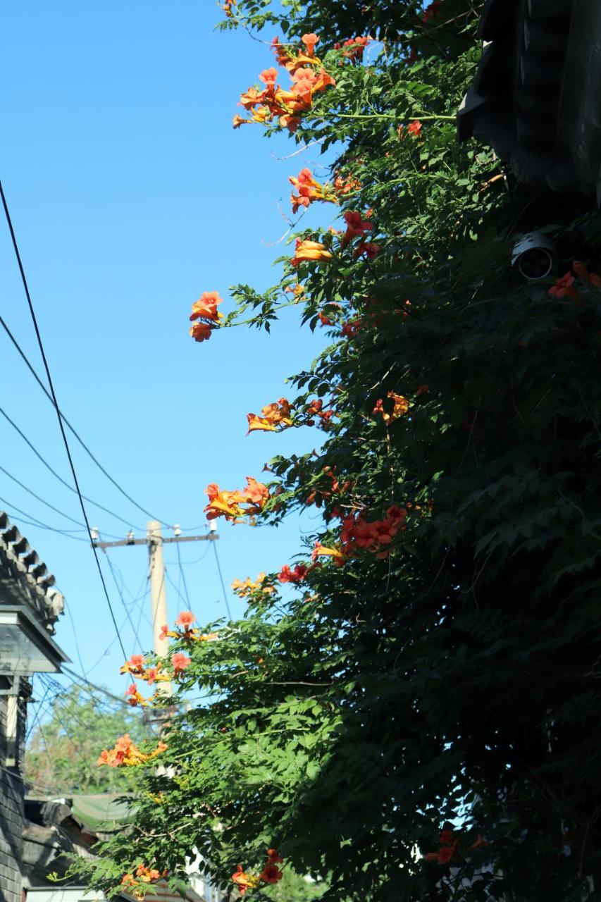 Peking Garden Siheyuan Boutique Hotel-Forbidden City&Beihai Park&Historic Hutong-Traditionnal yard&Sunshine terrace&Tea house&home kitchen