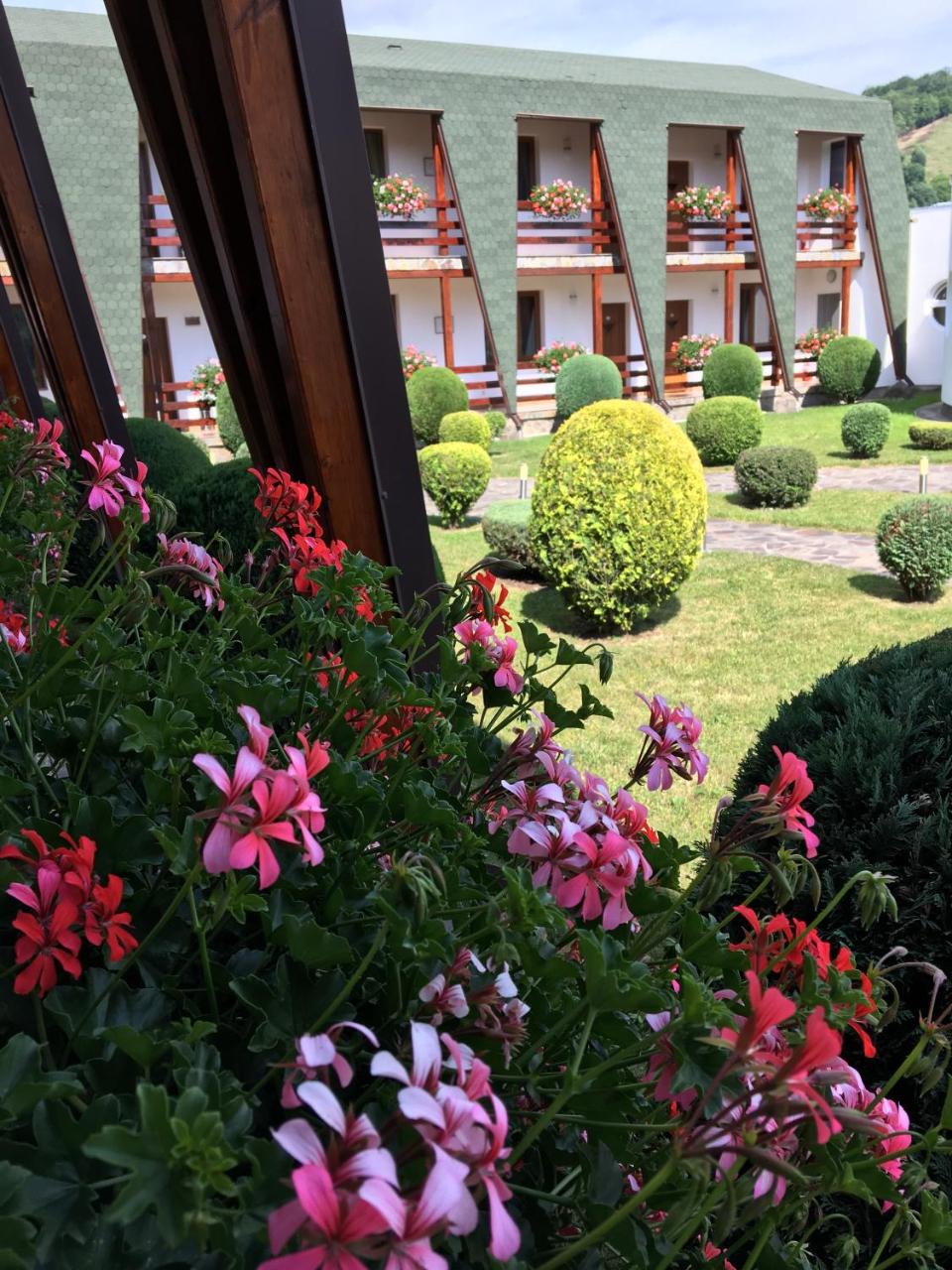 Motel Sora photo 4