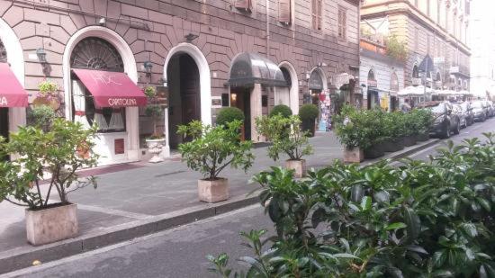 Hotel Serena srl