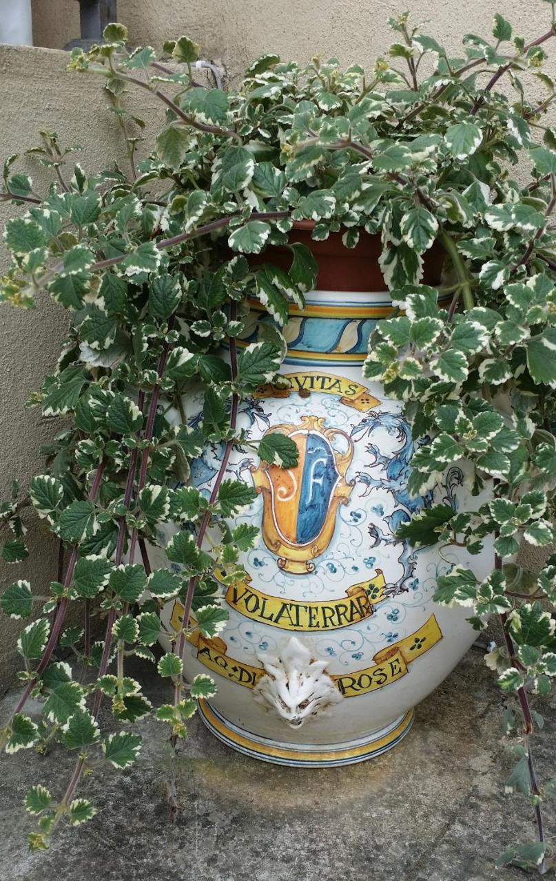 B&B Le Torri Di Firenze photo 4
