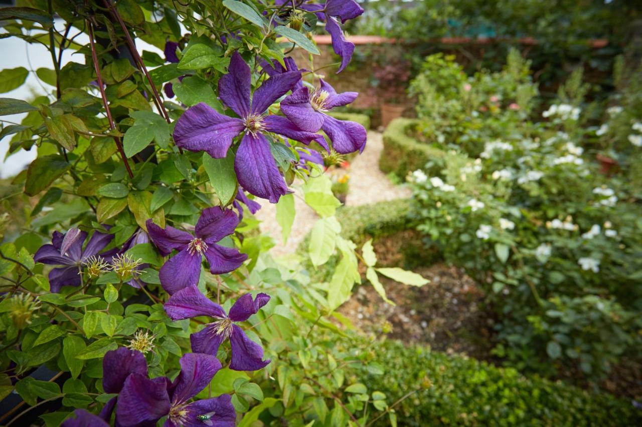 Photo - Strawberry Cottage B&B