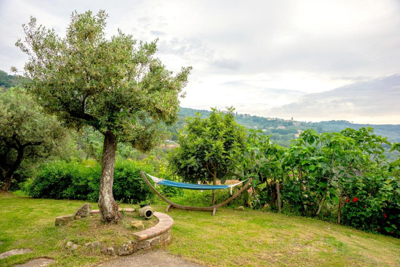 Villa Nigro photo 2