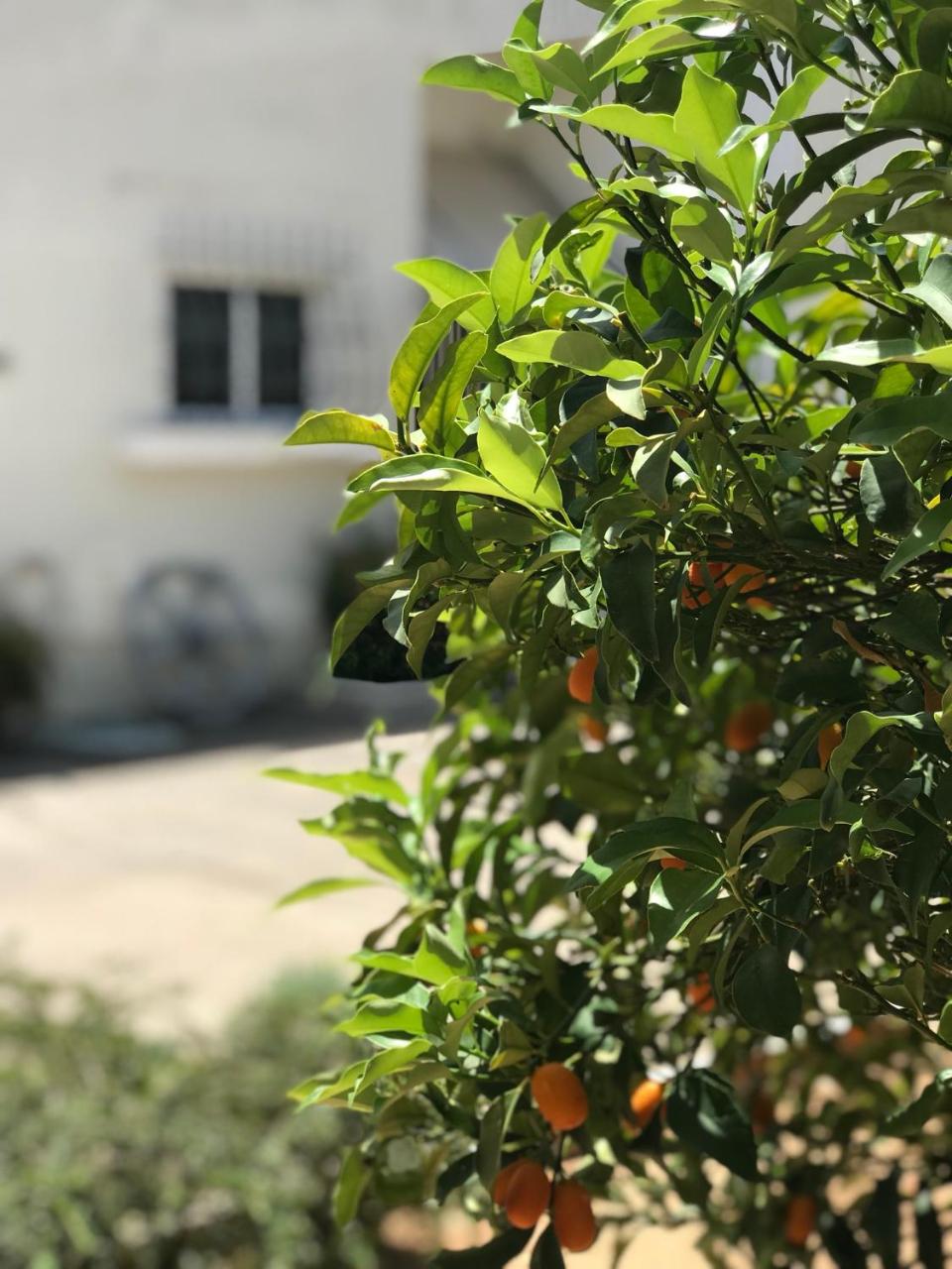 Aggelikis House
