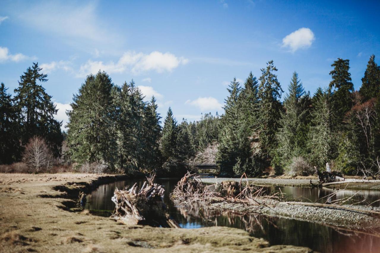 Port Hardy Cabins photo 4