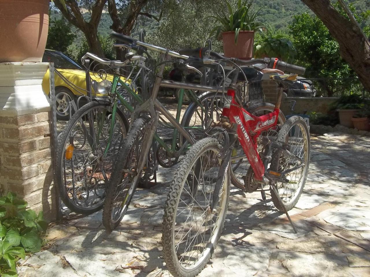 Vila Oliven photo 2