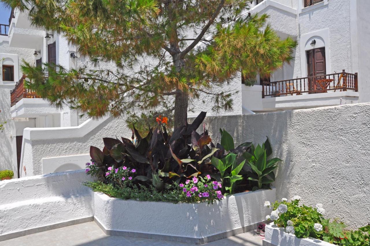 Studios Akrogiali