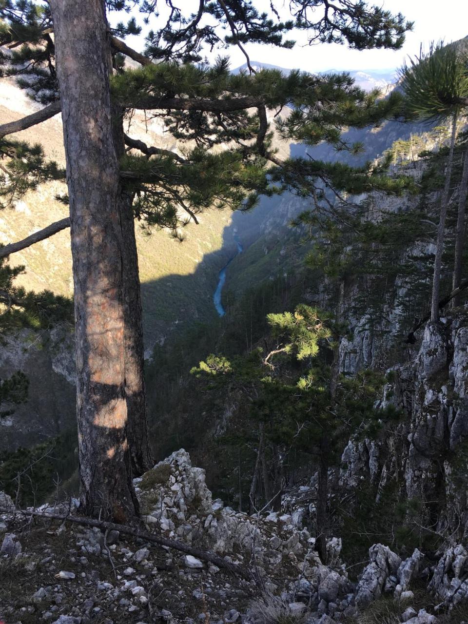 Monte Zen photo 3