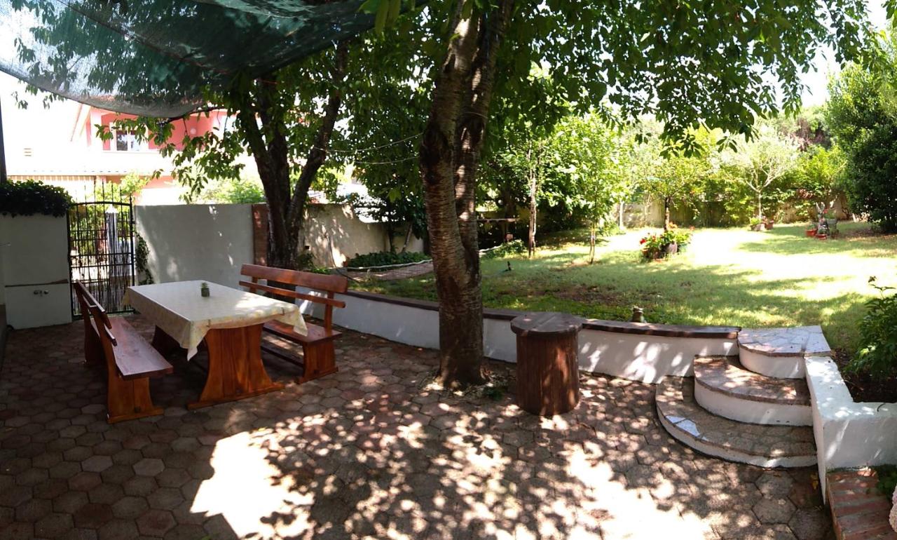 Apartment Drenovica - 4