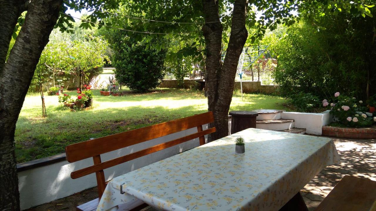 Apartment Drenovica - 5