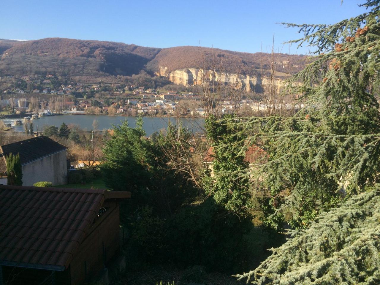 Carte MICHELIN Fleurieu-sur-Saône - ViaMichelin