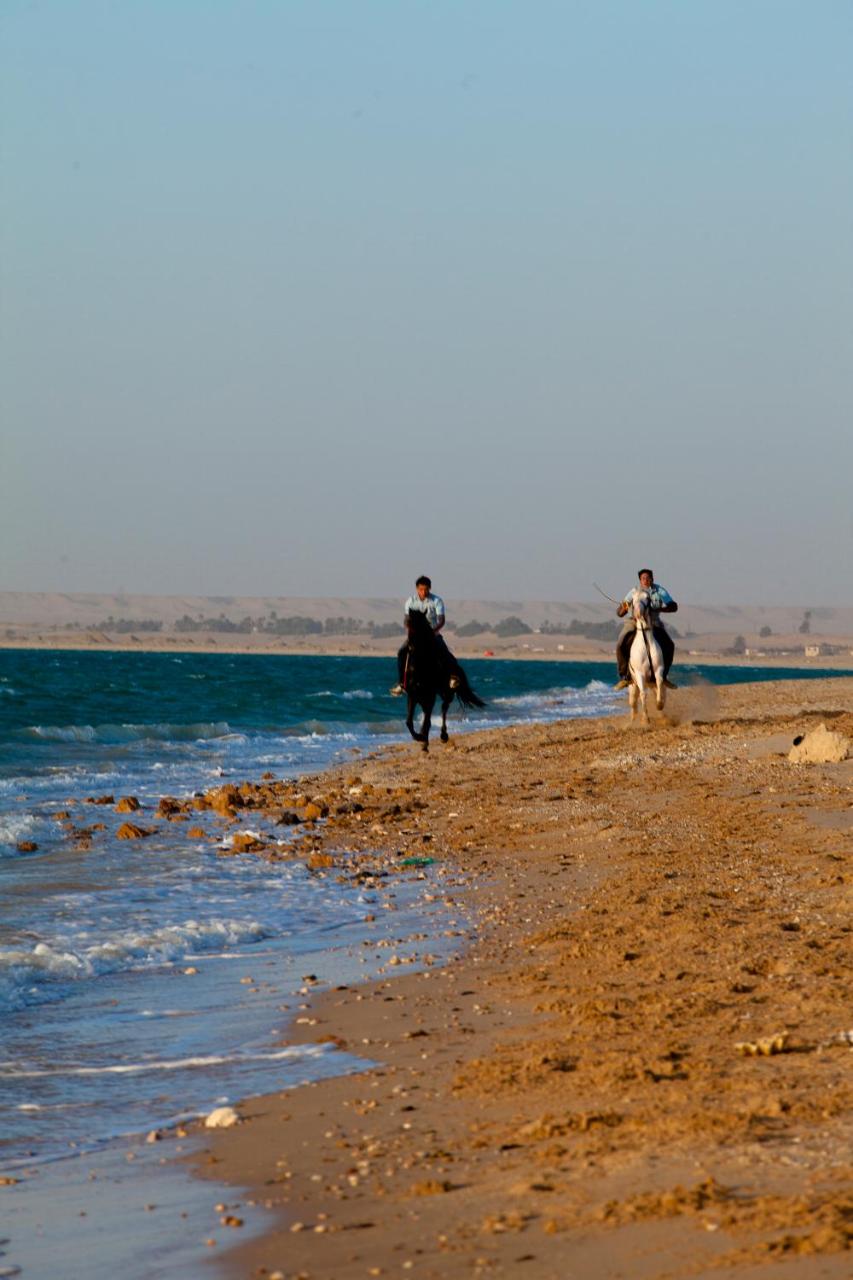 Mousa Coast Hotel & Spa photo 3