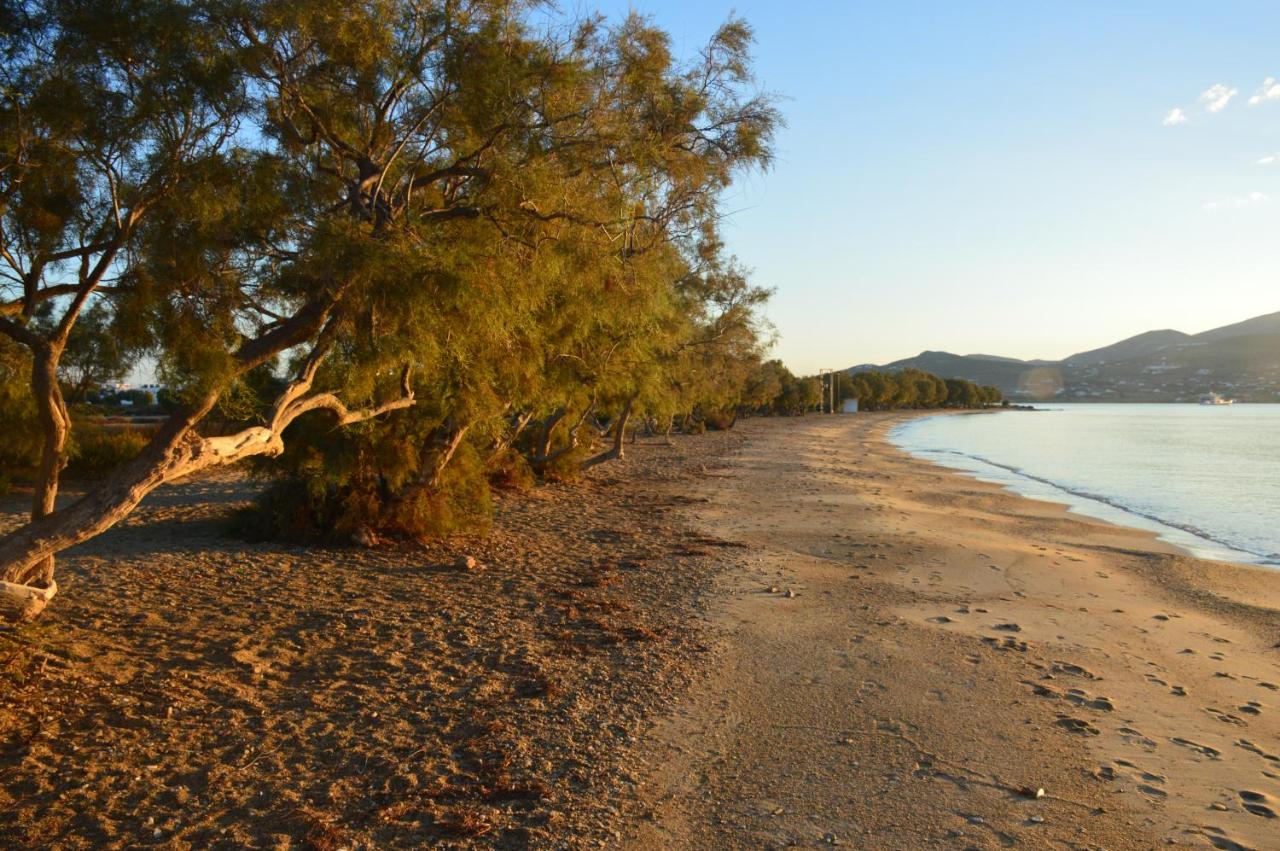 ThalaSEA - village Antiparos - 6